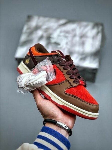 NIKE SB