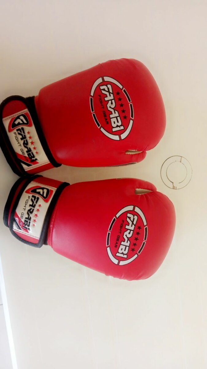 Fight Gear