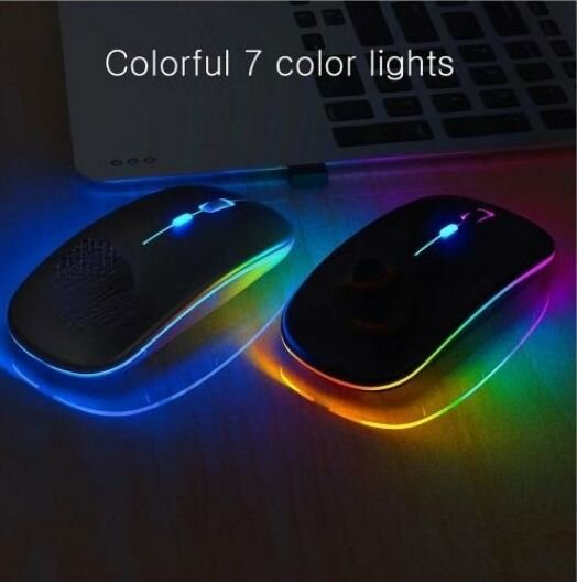 Rechargeable souris