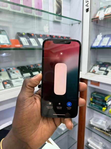 iPhone 13  Vert