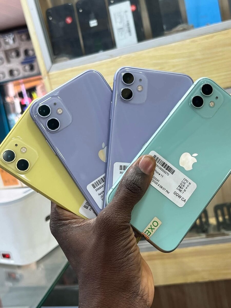 iPhone 11 - Multicolore