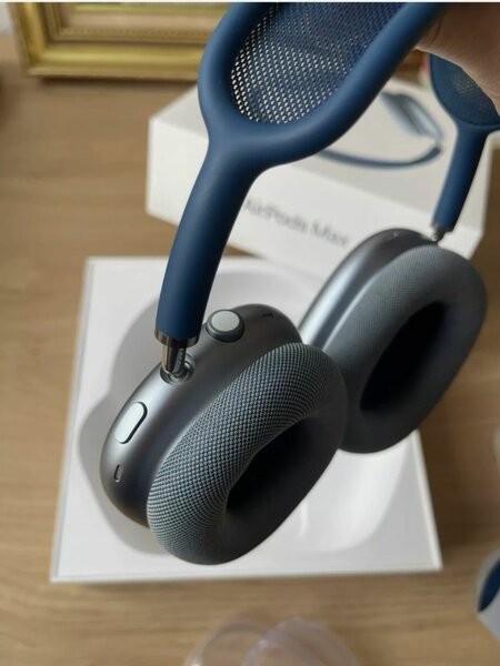 Airpods max