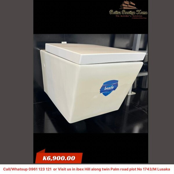 Wall hang toilet