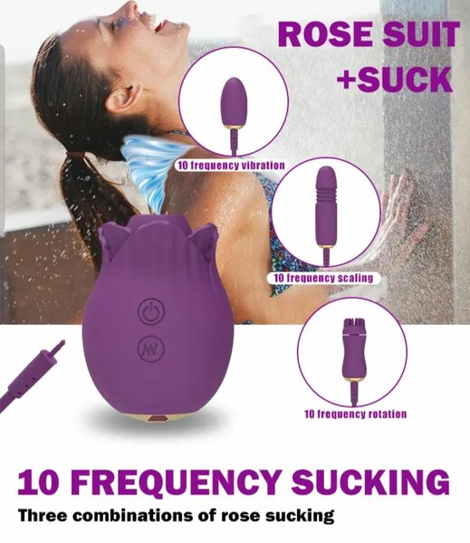 Rosetoy 4en1