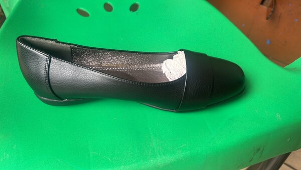 Faerbite Shoes