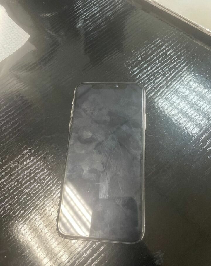 iPhone X