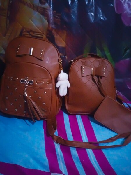 3 in 1 bag