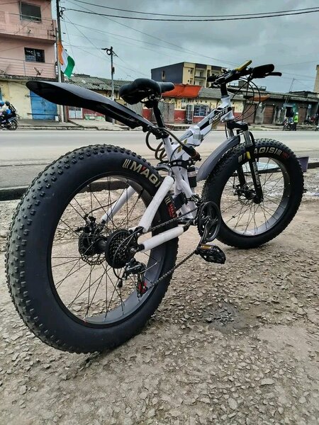 Vélo Fatbike Tout Terrain Électrique