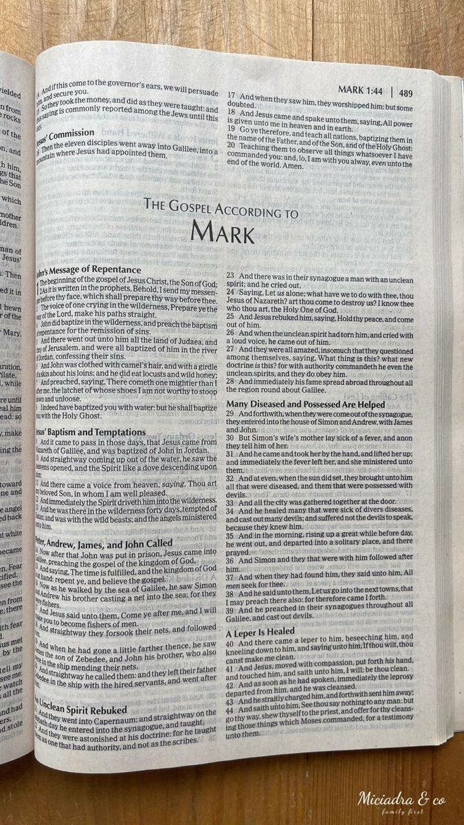 KJV Holy Bible