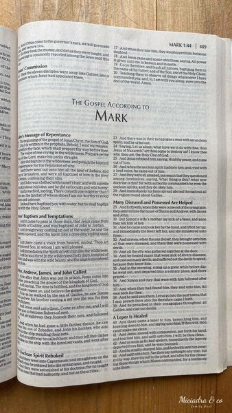 KJV Holy Bible
