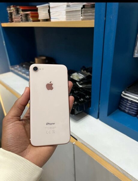 iPhone 6x