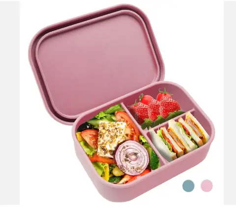 Silicon partitioned lunch box