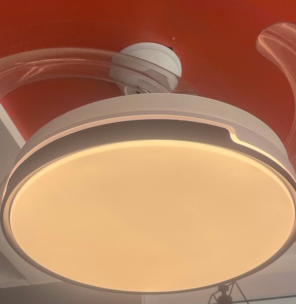 Fan with light
