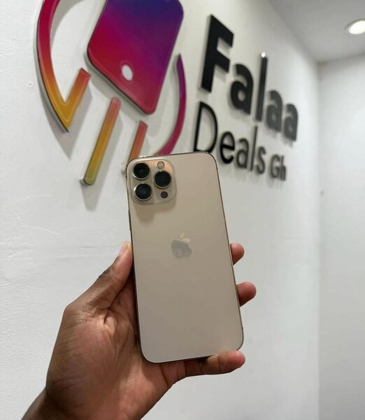 iPhone 13 Pro Max