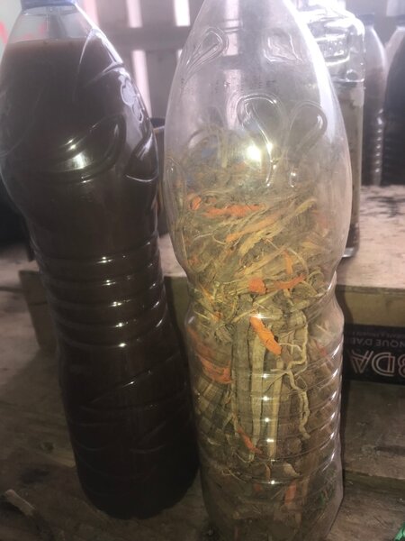 Tchokor bandé