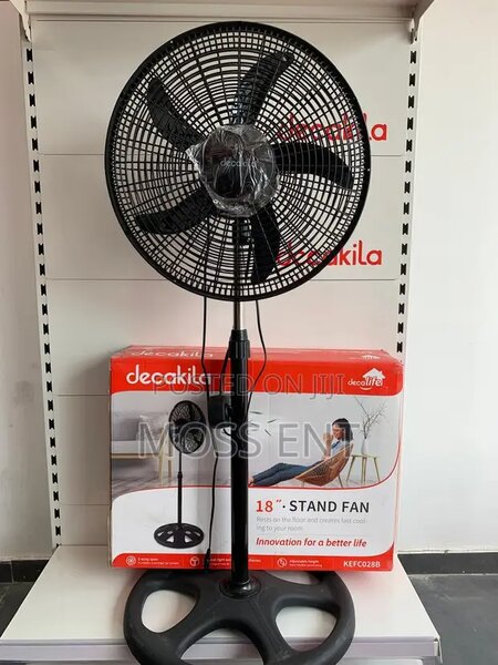 Fan