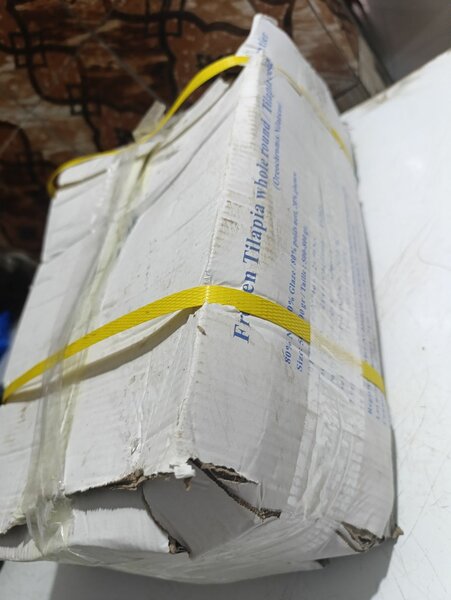 1 carton de 500+