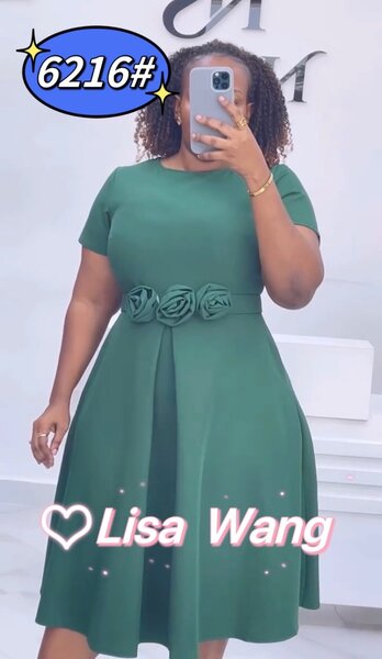 Ladies office dress