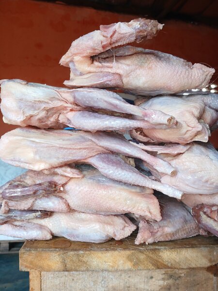 Pondeuse poulet