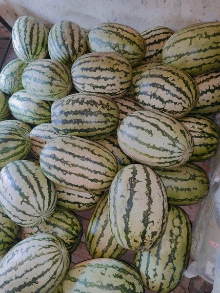 Watermelon