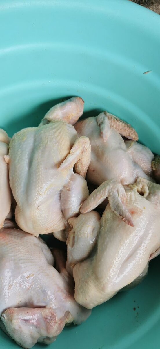 Poulet entier frais