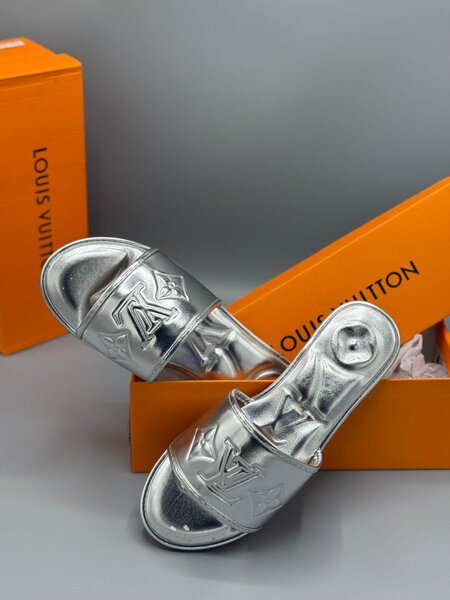 Louis Vuitton slippers