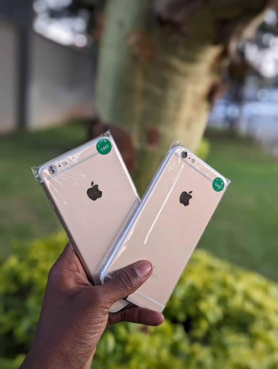 iPhone 6 Plus