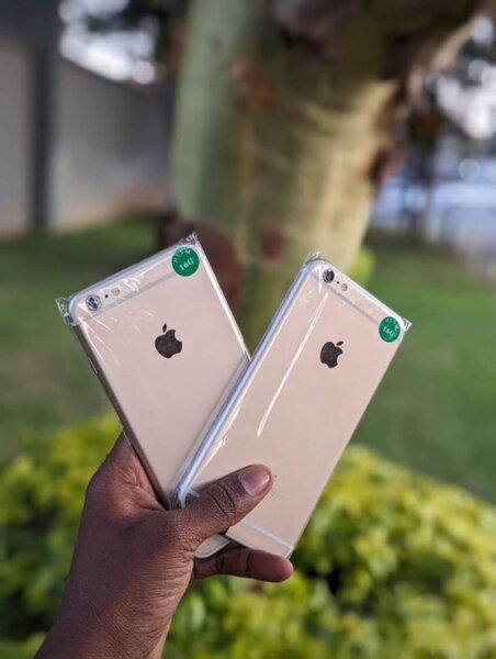 iPhone 6 Plus