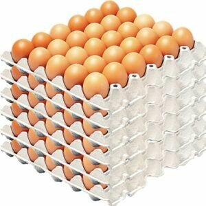 Nutritious Eggs