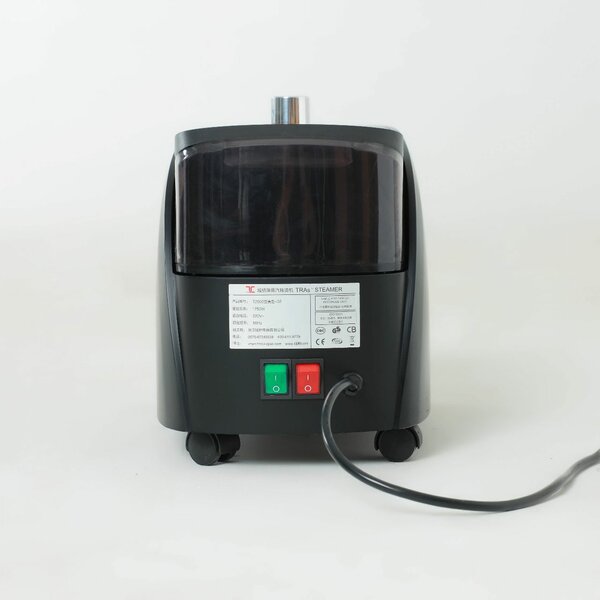 Garment steamer