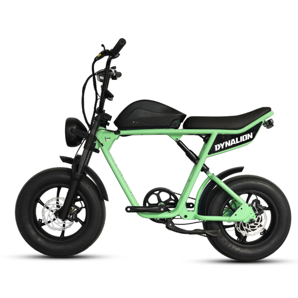 Vélo électrique Dynalion compact