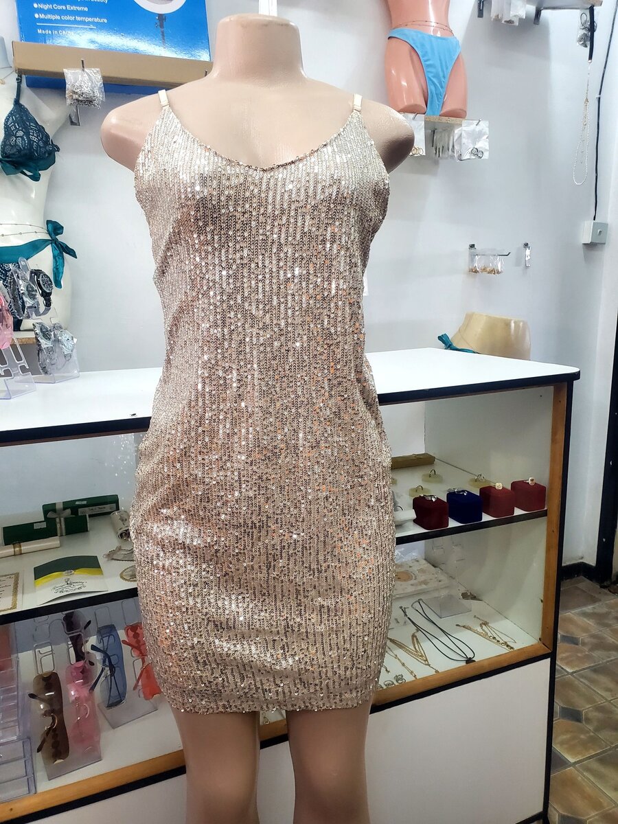 Shiny Silver Dress