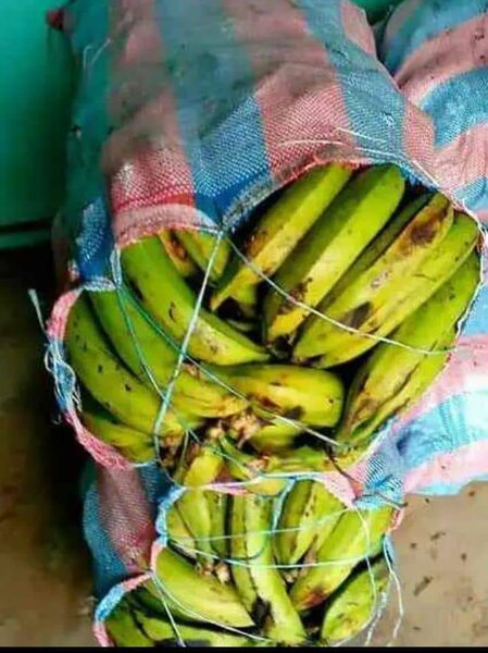Banane bio