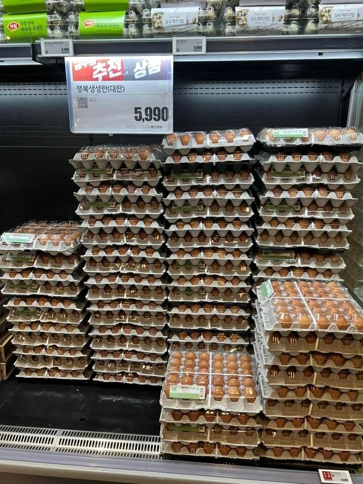 Fresh eggs