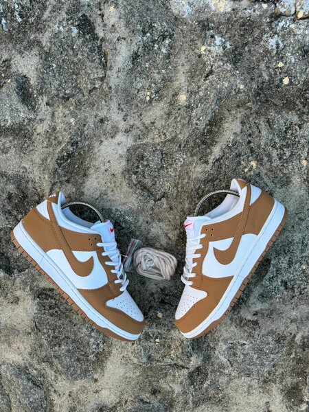Chaussures Nike SB 