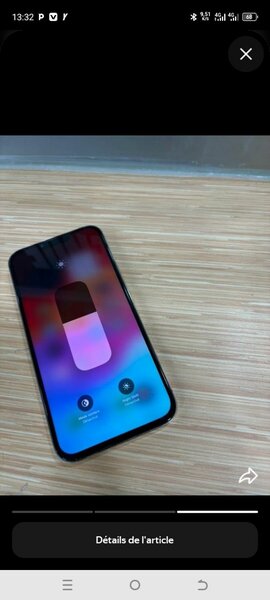 iPhone 13 Pro Max Argent