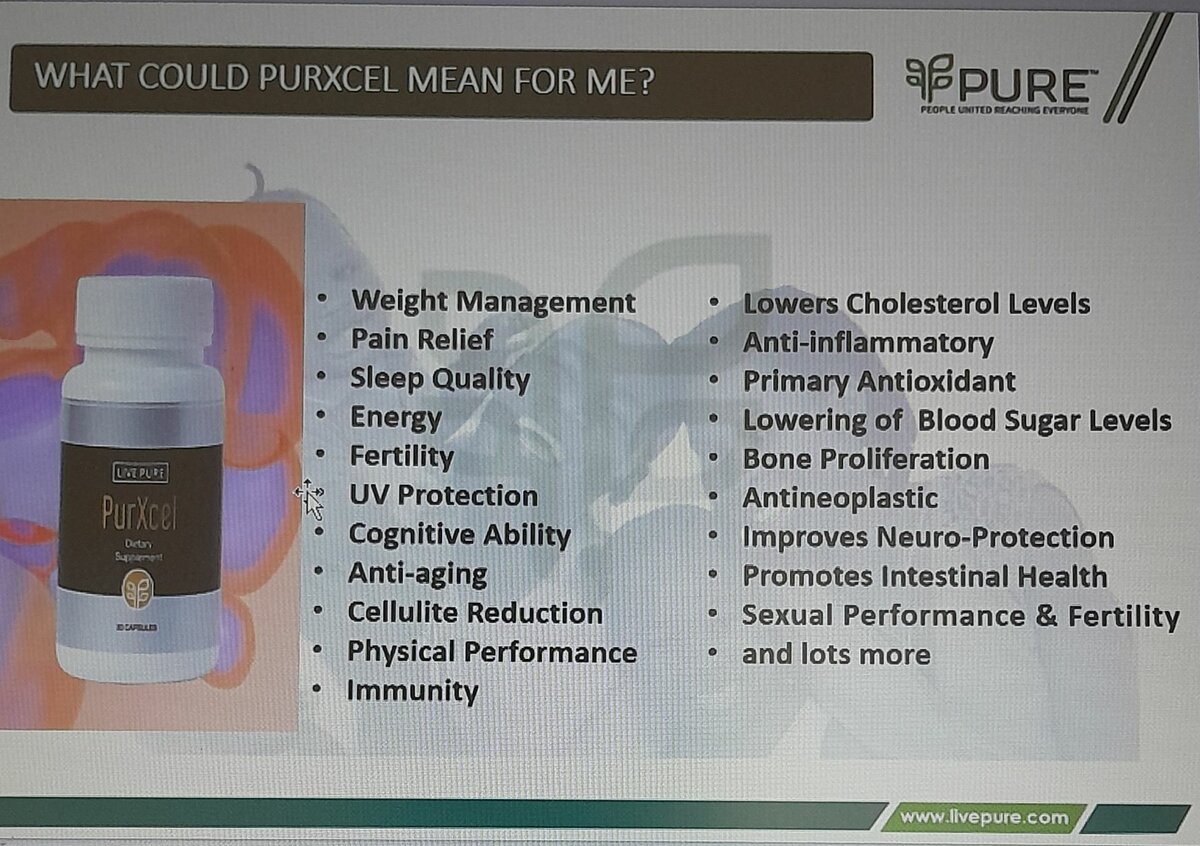 Live  PurXcel