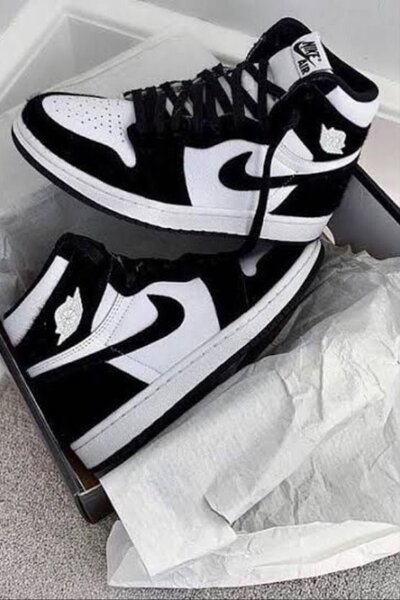 Nike air Jordan