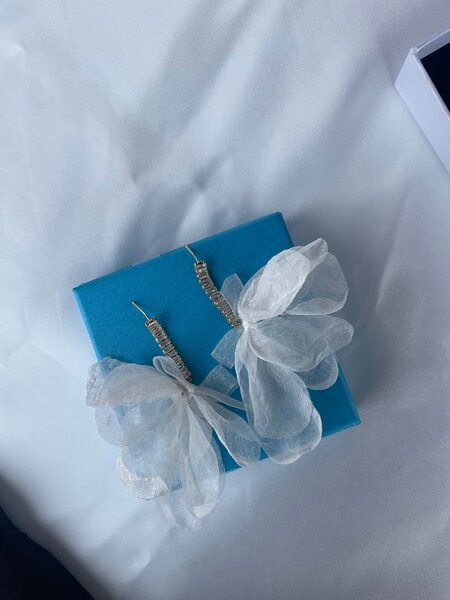 Fashion earrings