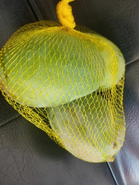 Fresh Mango