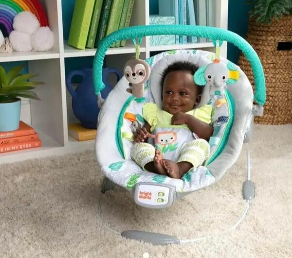 BRIGHTS STARTS baby  rocker