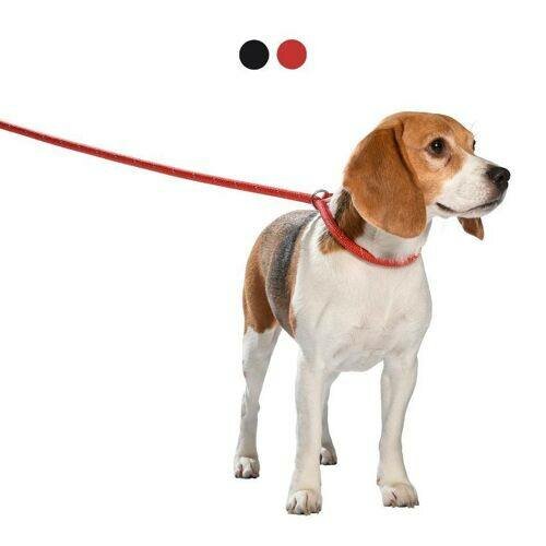 Laisse pour chien réglable