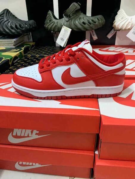 Nike sb 