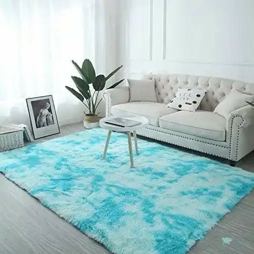 Fluffy Carpet