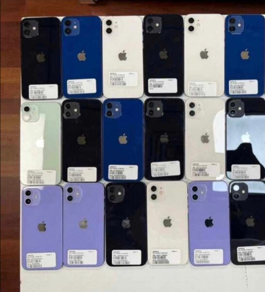 iPhone 11 - Multicouleur