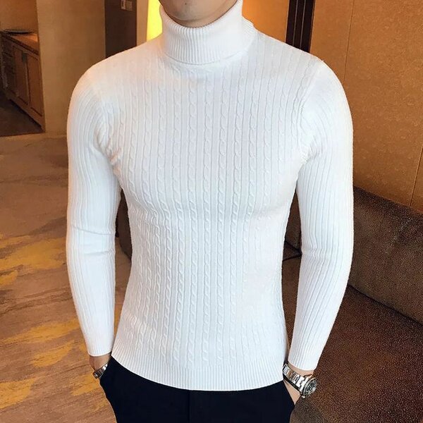 Pull Col roulé