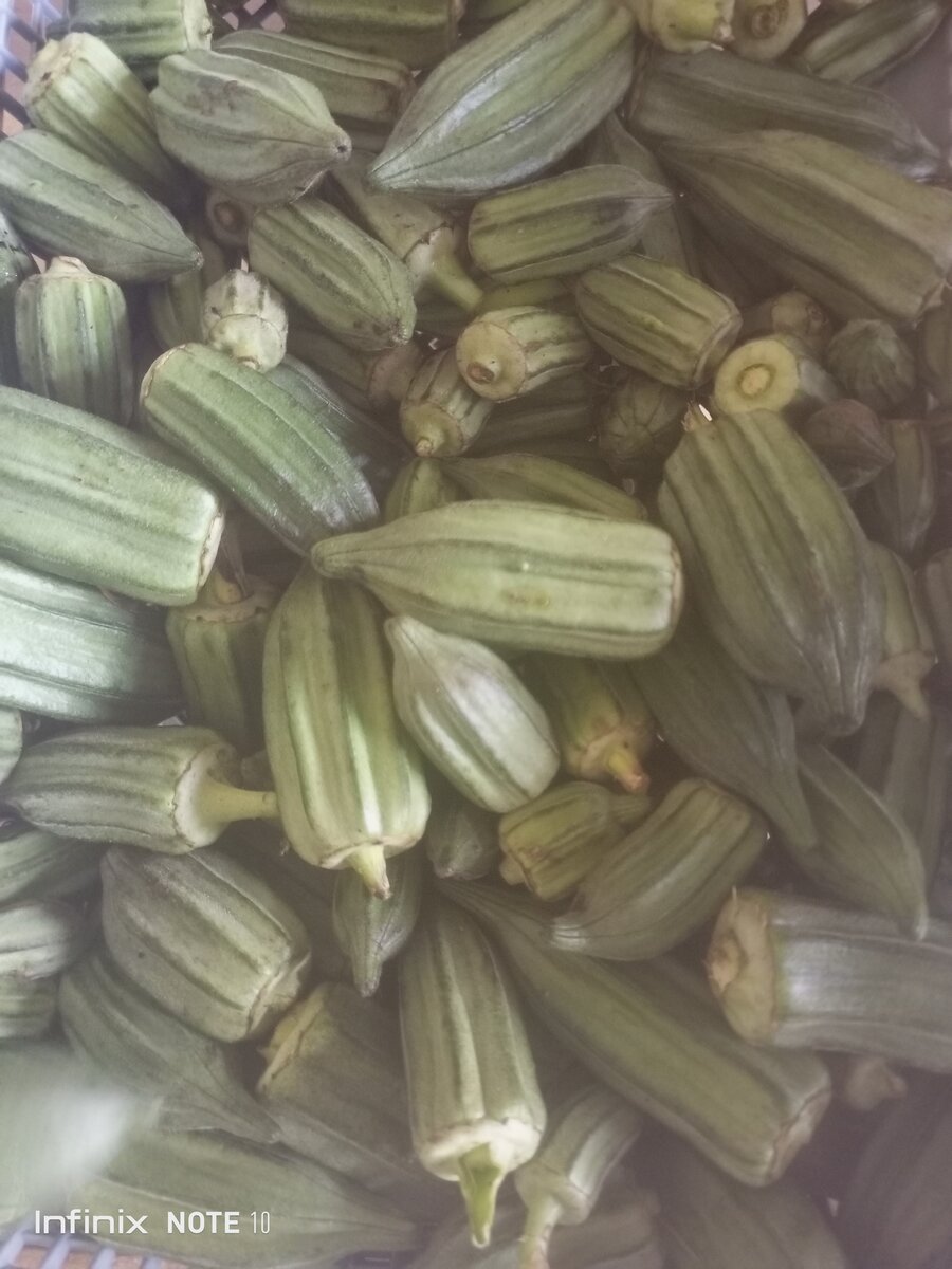 Légumes