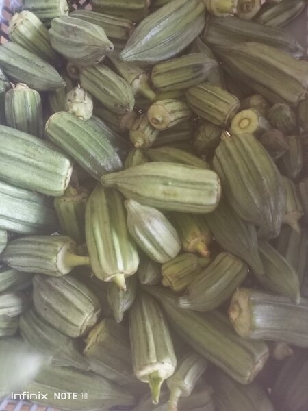 Légumes