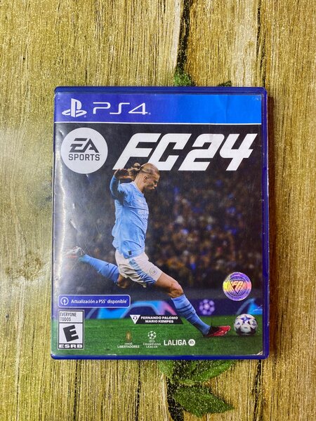 CD FC 24