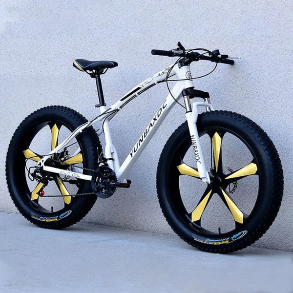 Vélos tout-terrain robustes